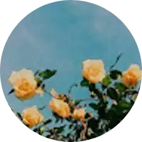 Nethi Harshitha
