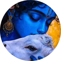 Hasini B